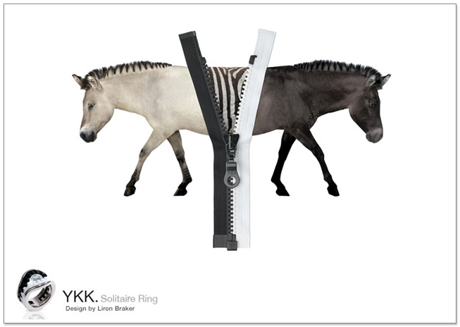 exhibition wall ykk zebara ring