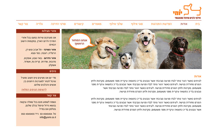 yomi dog trainer website design